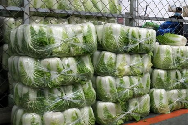 重慶主城區蔬菜配送